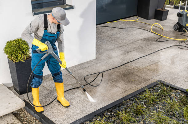 Best House Pressure Washing  in Cashton, WI