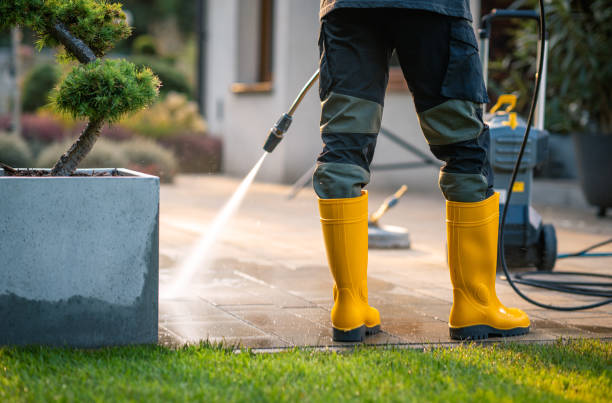 Best Power Washing Near Me  in Cashton, WI